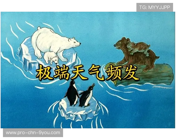 极端天气频发，户外赛事如何保障安全？，户外赛事太单独,有什么板块